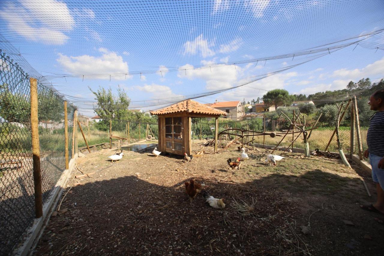 Apartamentos Rurais - Casas Do Lagar Rosmaninhal  Екстер'єр фото